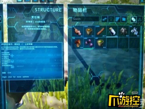 关于手机苹果版方舟生存进化怎么下的信息