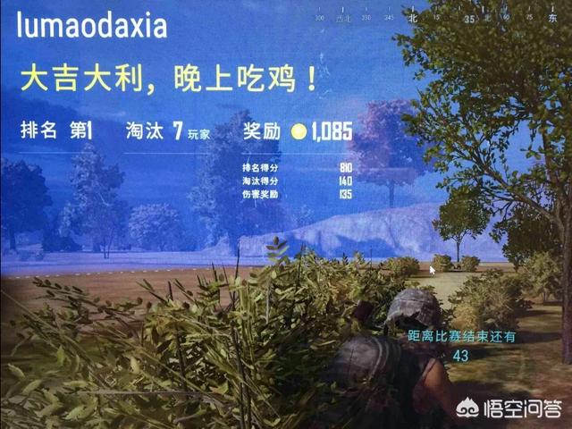吃鸡是什么意思？