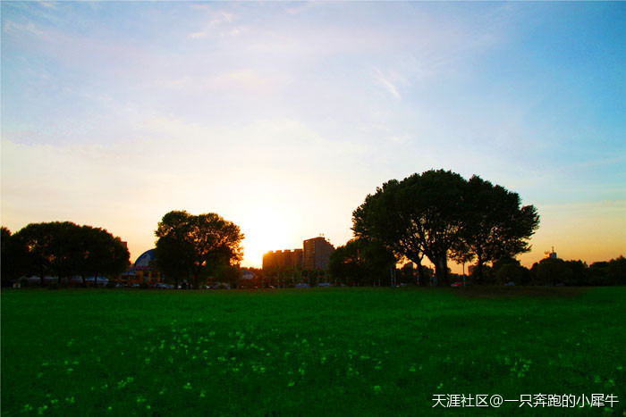 同城游有手机版吗:春天到了，包头同城游带你看春天