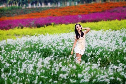 我的世界手机版园:1月17日走进美丽花世界，百万葵园赏七彩花田、葵花、玫瑰园！