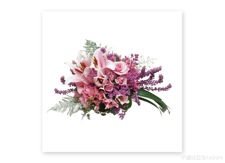 ps教程手机版海边:PS新手教程 蒙板绘制优雅趣味的花艺字体效果-第3张图片-亚星国际官网