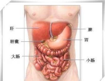 华为手机您的位置在哪
:胆的位置在哪