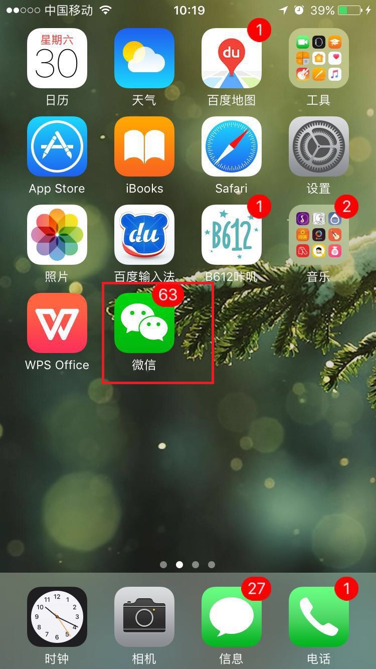 苹果手机微信加人软件苹果手机怎么下载两个微信软件-第2张图片-亚星国际官网