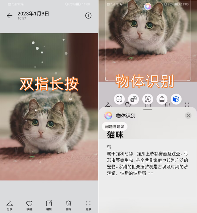 华为手机多屏功能怎么打开华为手机多屏同屏-第7张图片-亚星国际官网 华为手机多屏功能怎么打开华为手机多屏同屏-第7张图片-亚星国际官网