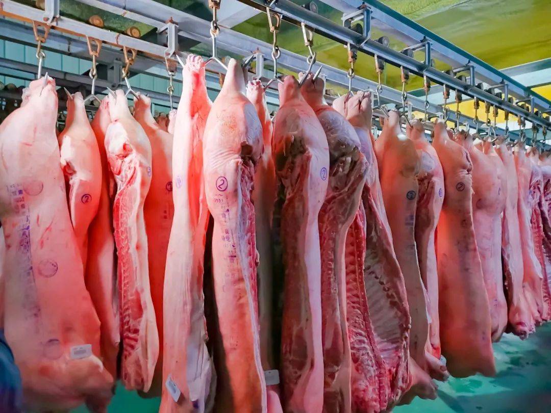 港版和韩版有啥区别苹果:盖红章的猪肉，和盖蓝章的有啥区别