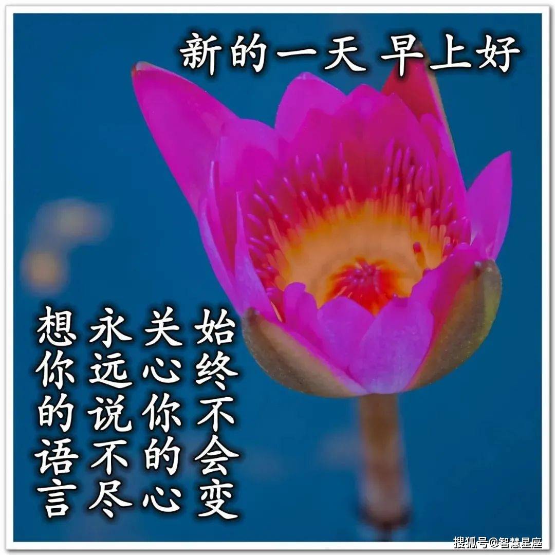 开心消消乐苹果下载免费版:12月24日周六早上好动态表情图片 寒冬最新早上好图片大全