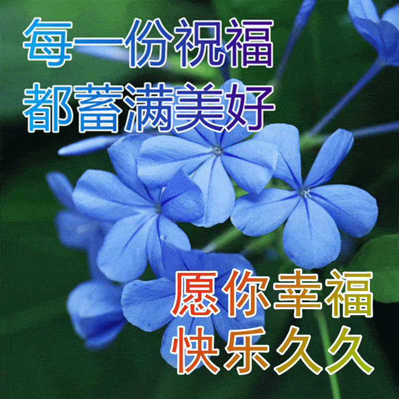 开心消消乐苹果下载免费版:12月24日周六早上好动态表情图片 寒冬最新早上好图片大全-第9张图片-亚星国际官网