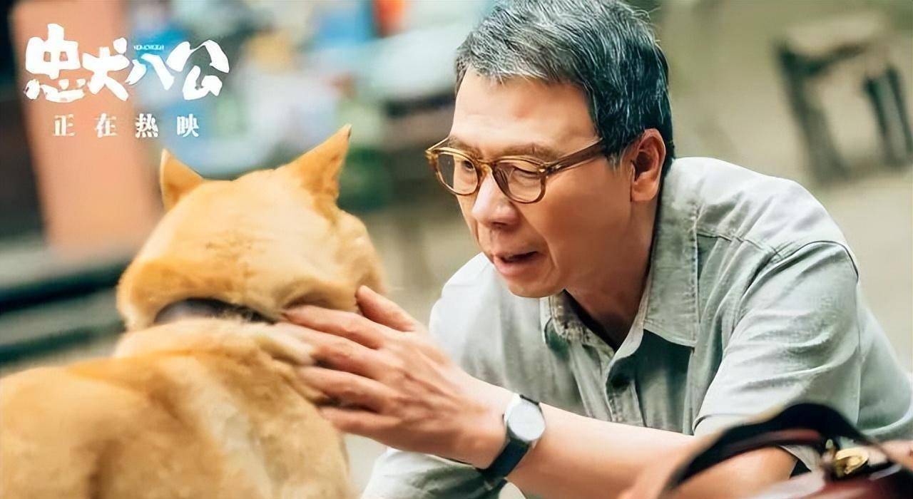 苹果版的小书亭
:三版《忠犬八公》，美版日版各有千秋，冯小刚拍的有点跑题了