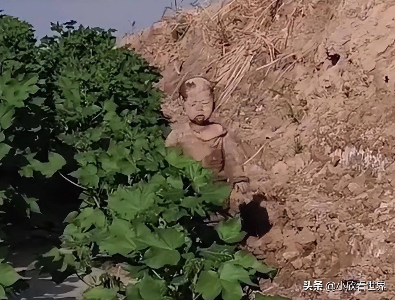 迷你dayz苹果版怎么
:笑哭！湖南一萌娃滚泥地全身被糊得严严实实，妈妈：先打还是先洗