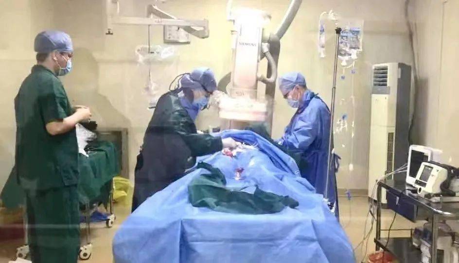 中国版苹果企业认证
:【行业要闻】淄博市中医医院顺利通过中国胸痛中心基层版认证-第8张图片-亚星国际官网