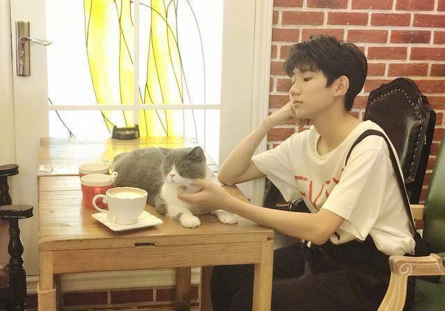 苹果版猫咪后院壁纸
:王源小源的猫咪后院