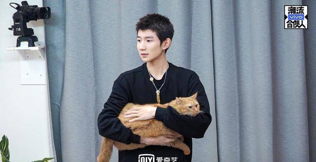 苹果版猫咪后院壁纸
:王源小源的猫咪后院-第2张图片-亚星国际官网