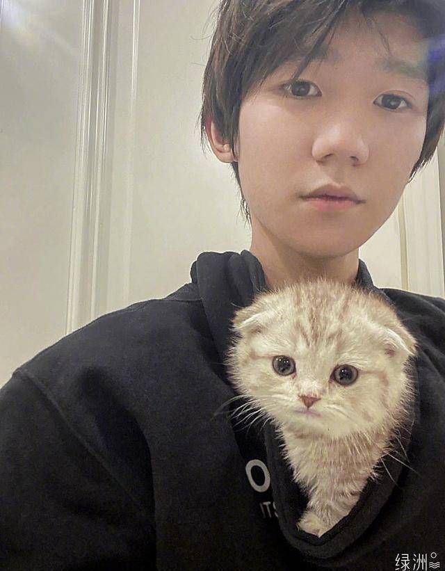苹果版猫咪后院壁纸
:王源小源的猫咪后院-第4张图片-亚星国际官网
