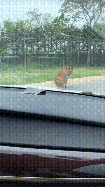 快手怎么中奖苹果版:爆笑GIF：这些长老蹭了半天的空调，真是说也不能说，碍也不能碍