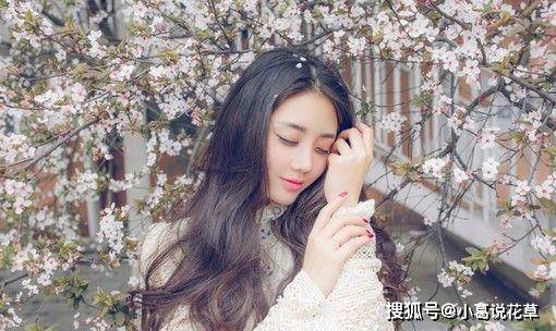 多盈彩票苹果版:3月15日后，财运大增，运势无忧无虑，生肖运势出奇的好！