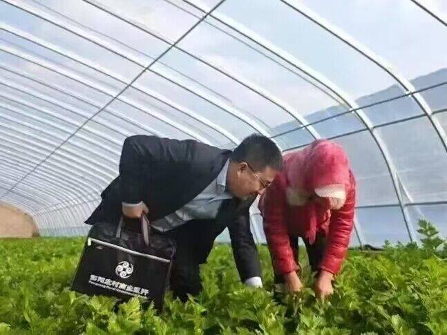 小苹果移动客服版:黄河农村商业银行：用实实在在的行动助力乡村振兴-第3张图片-亚星国际官网