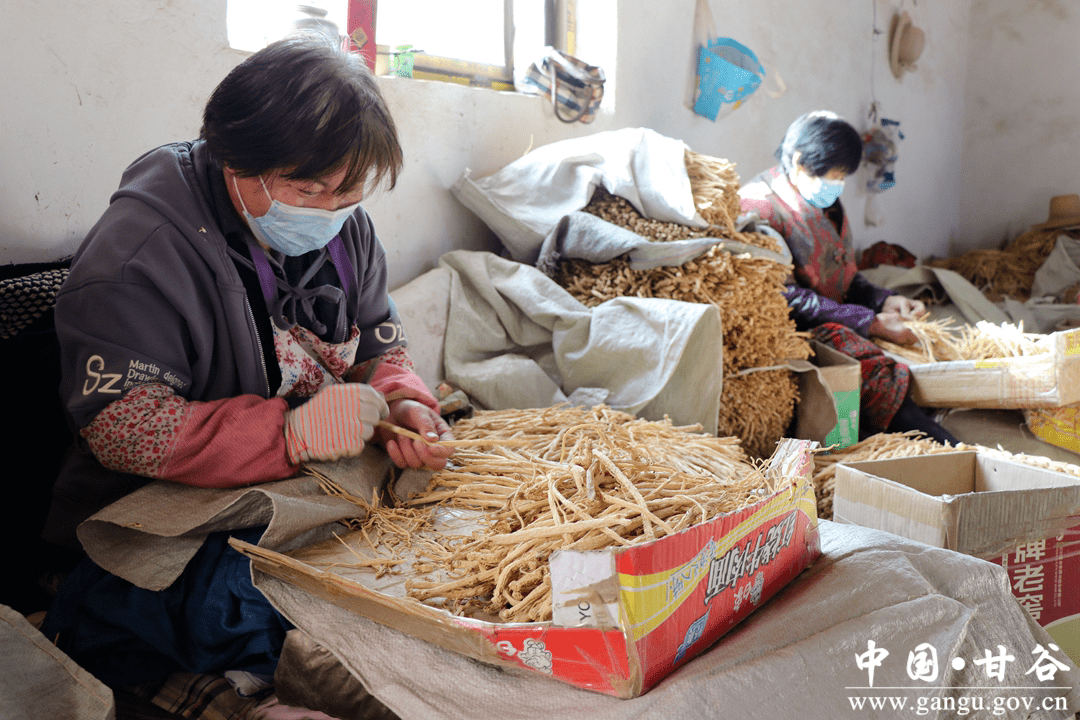 花椒破解版苹果:甘谷：立足本地强产业 持续发力惠民生-第4张图片-亚星国际官网