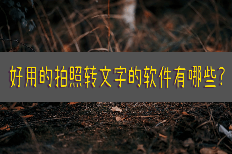 手机txt:好用的拍照转文字的软件有哪些？试试这种方法