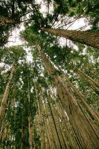 苹果版电脑怎么截图-第2张图片-亚星国际官网 苹果版电脑怎么截图-第2张图片-亚星国际官网