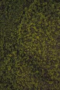 苹果电脑教育版和普通版-第1张图片-亚星国际官网 苹果电脑教育版和普通版-第1张图片-亚星国际官网