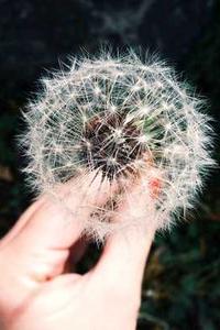 天堂网下载手机苹果版-第3张图片-亚星国际官网 天堂网下载手机苹果版-第3张图片-亚星国际官网