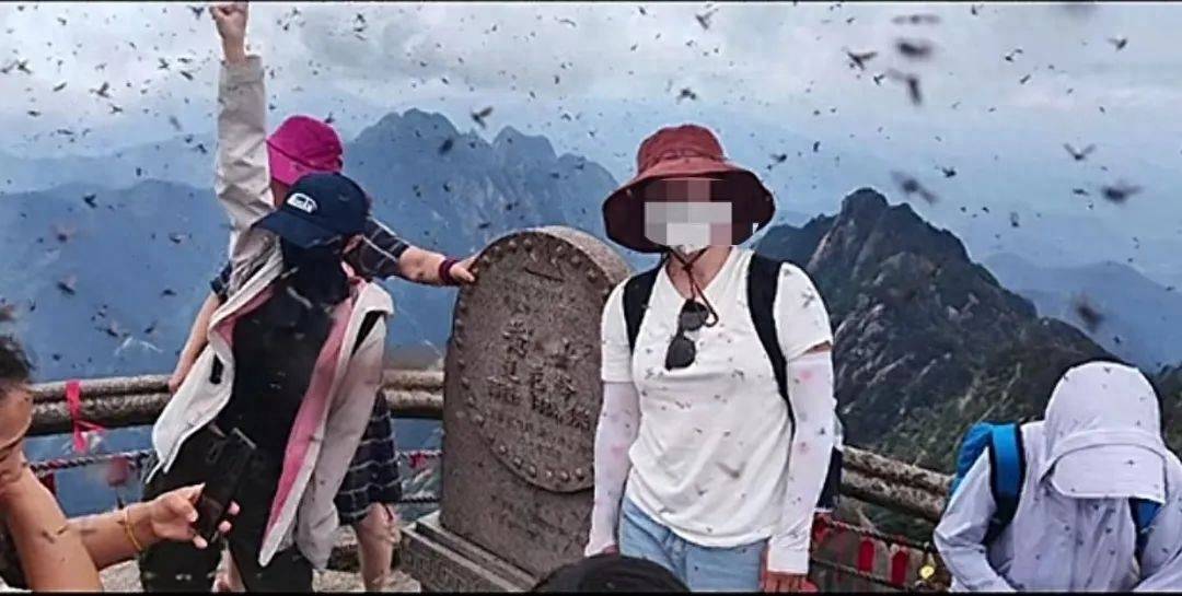 下载和平精英安卓手机版:黄山景区回应“飞虫冲脸”