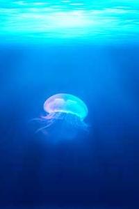 江湖求生下载手机版苹果版-第4张图片-亚星国际官网 江湖求生下载手机版苹果版-第4张图片-亚星国际官网