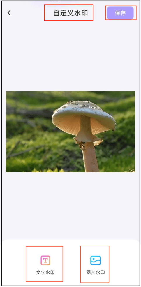 照片怎么增加水印？手机上即可完成-第3张图片-亚星国际官网
