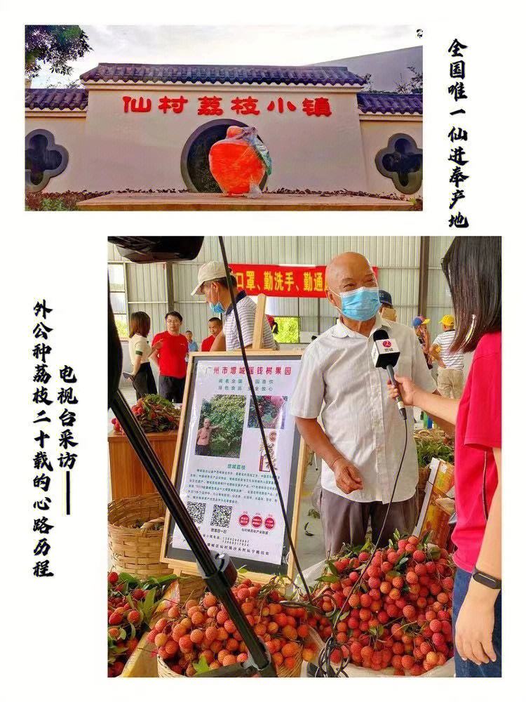 荔枝新闻客户端图片荔枝新闻客户端在线观看-第2张图片-亚星国际官网