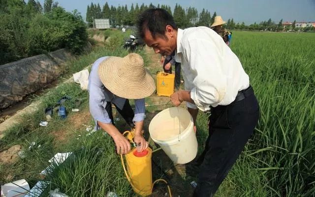 腈菌唑苹果树药害新闻腈菌唑在葡萄上冶什么病-第2张图片-亚星国际官网