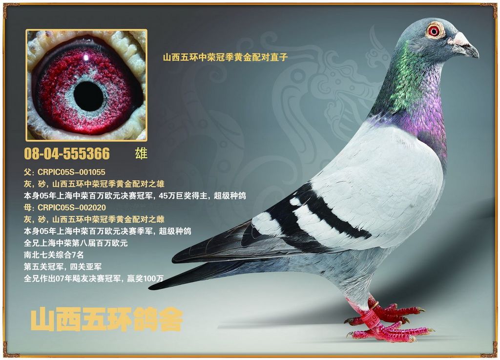 山西鹏达公棚手机资讯网万棚四通道智能水肥一体机