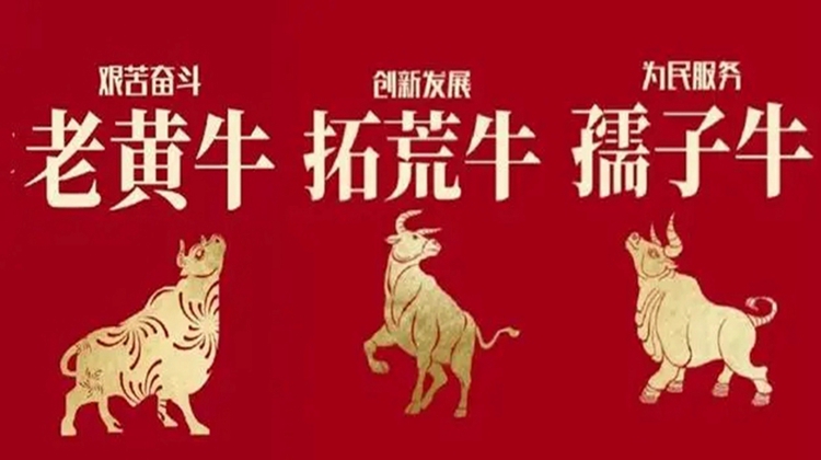 手机新闻轮播图手机app轮播图尺寸-第2张图片-亚星国际官网
