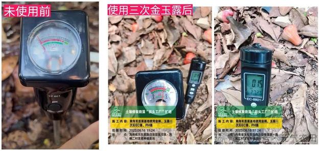 大力黑金刚苹果版的简单介绍