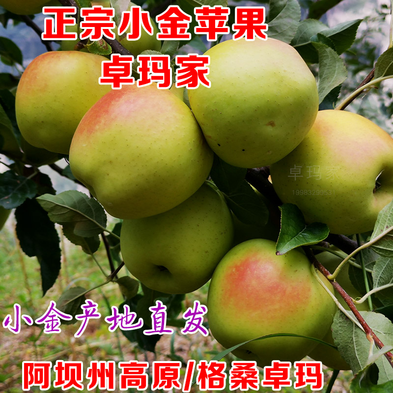 四川版的小苹果电影苹果电影未删版