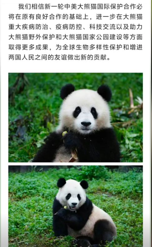 熊猫棋牌下载手机版下载八家经营智能棋牌室需注意的细节