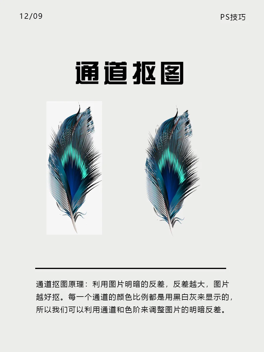 ps抠图安卓版下载ps抠图软件手机免费版-第2张图片-亚星国际官网