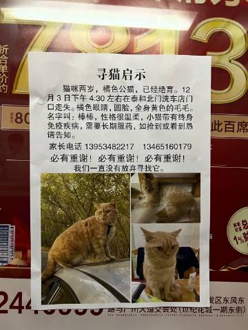 龙族客户端购买龙族online-第2张图片-亚星国际官网